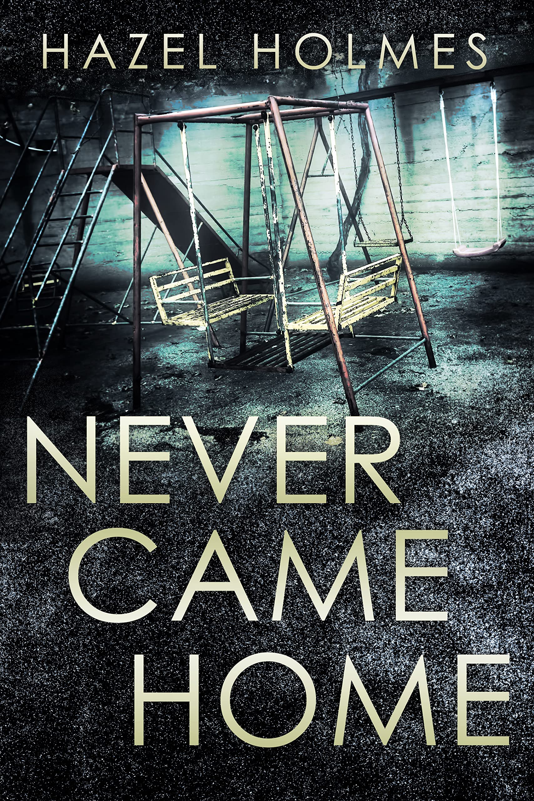 Never Came Home book cover