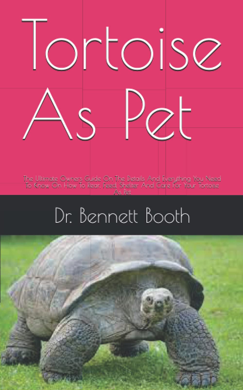 Tortoise As Pet The Ultimate Owners Guide On The Details And