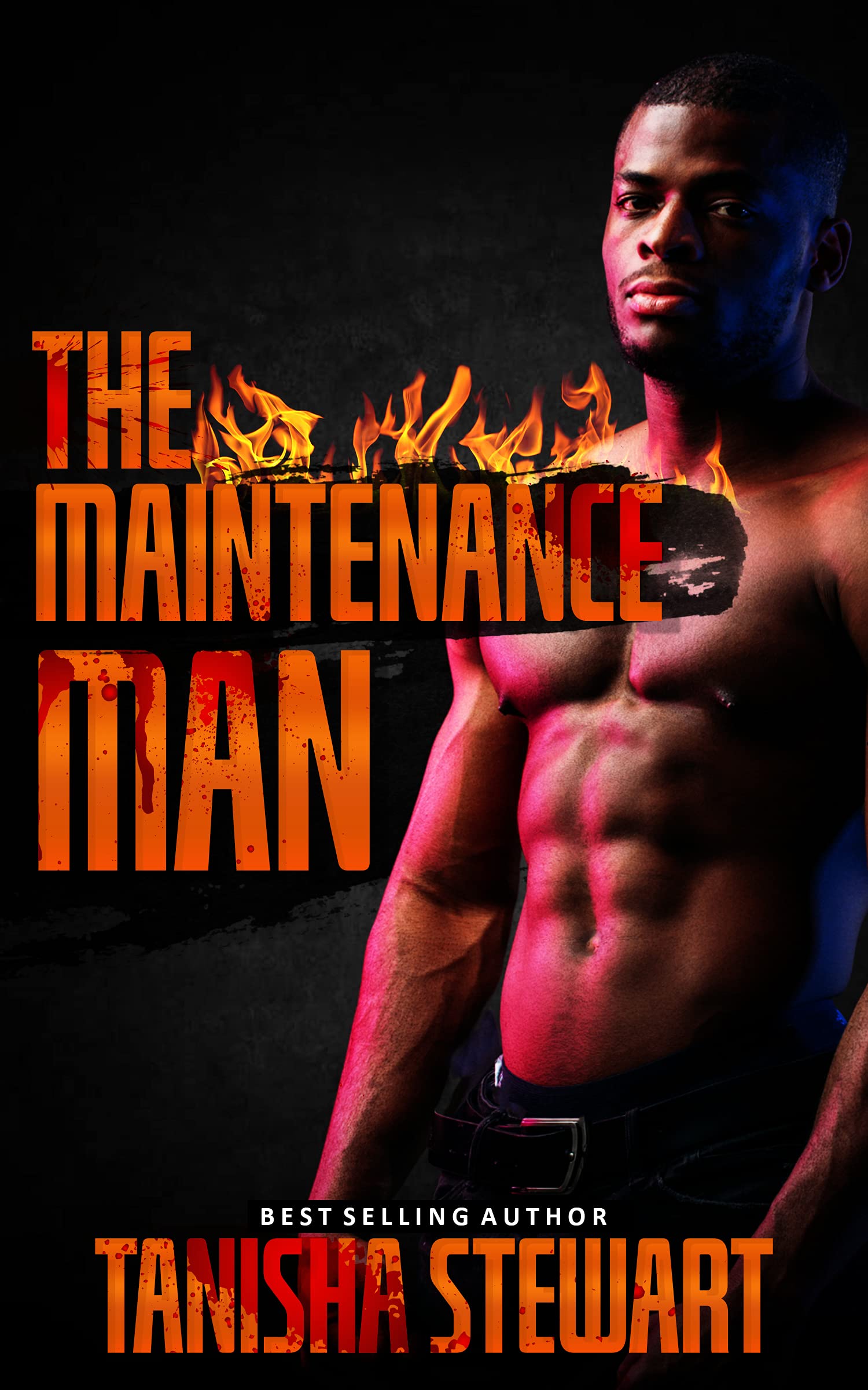 The Maintenance Man book cover