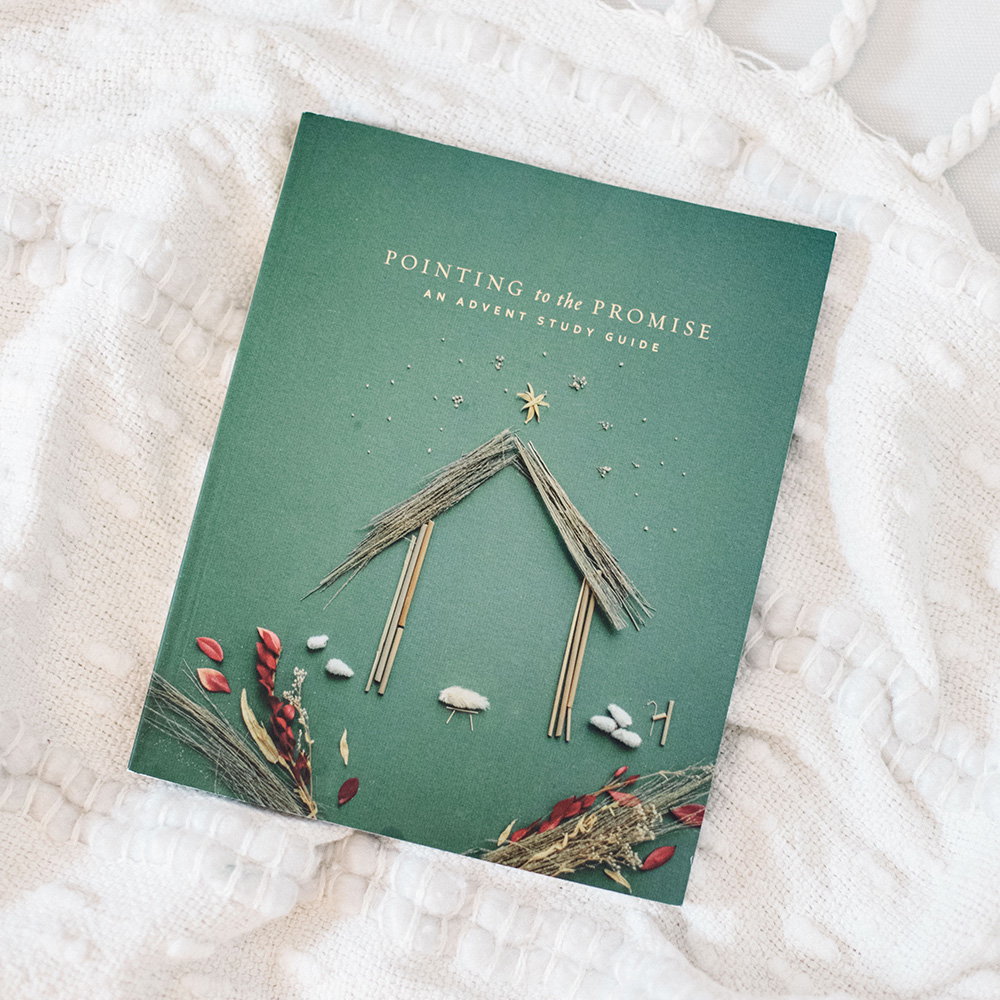 Pointing to the Promise An Advent Study Guide