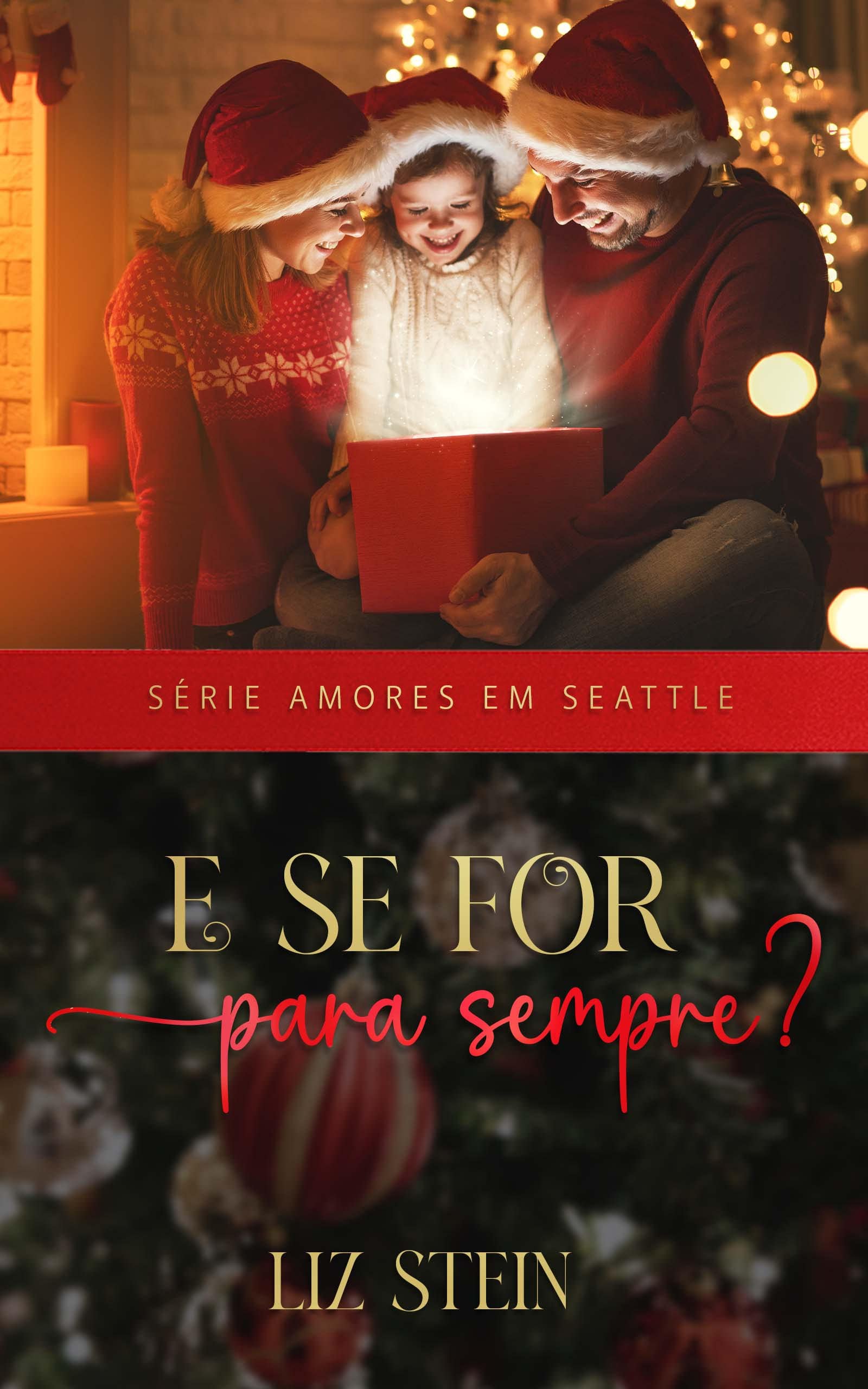 E se for para sempre? (Amores em Seattle Livro 1)