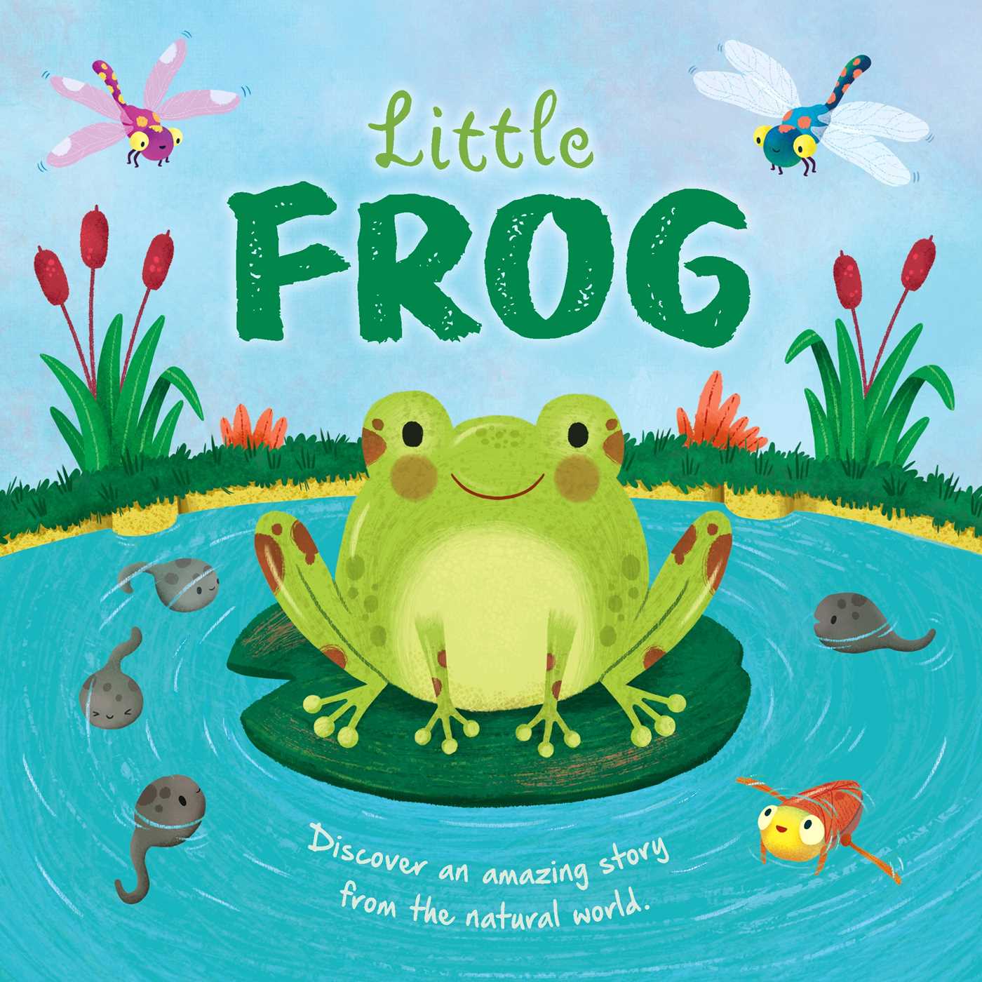 Nature Stories: Little Frog-Discover an Amazing Story from the Natural World: Padded Board Book