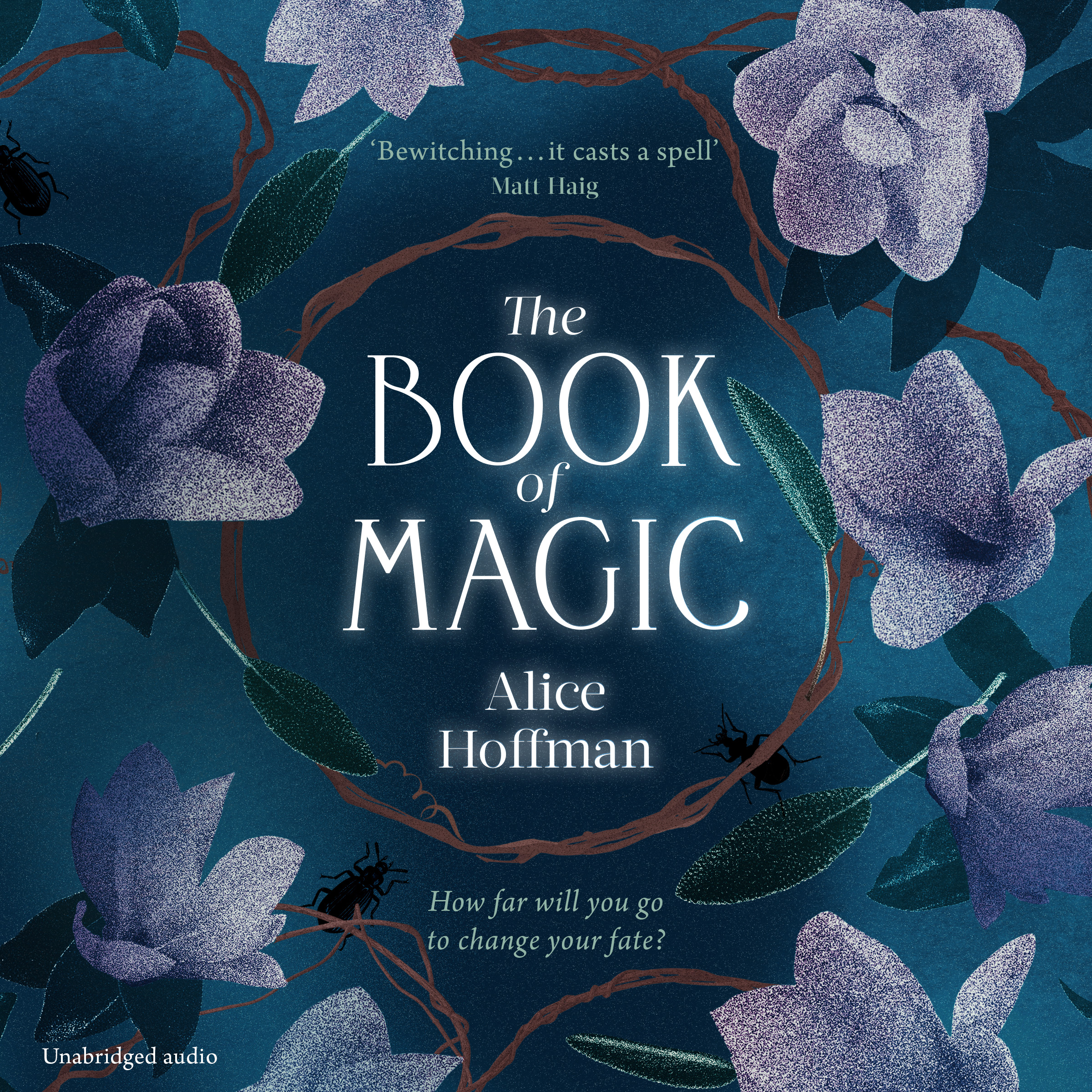The Book of Magic (Practical Magic, #2)