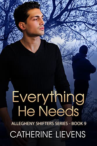 Everything He Needs book cover