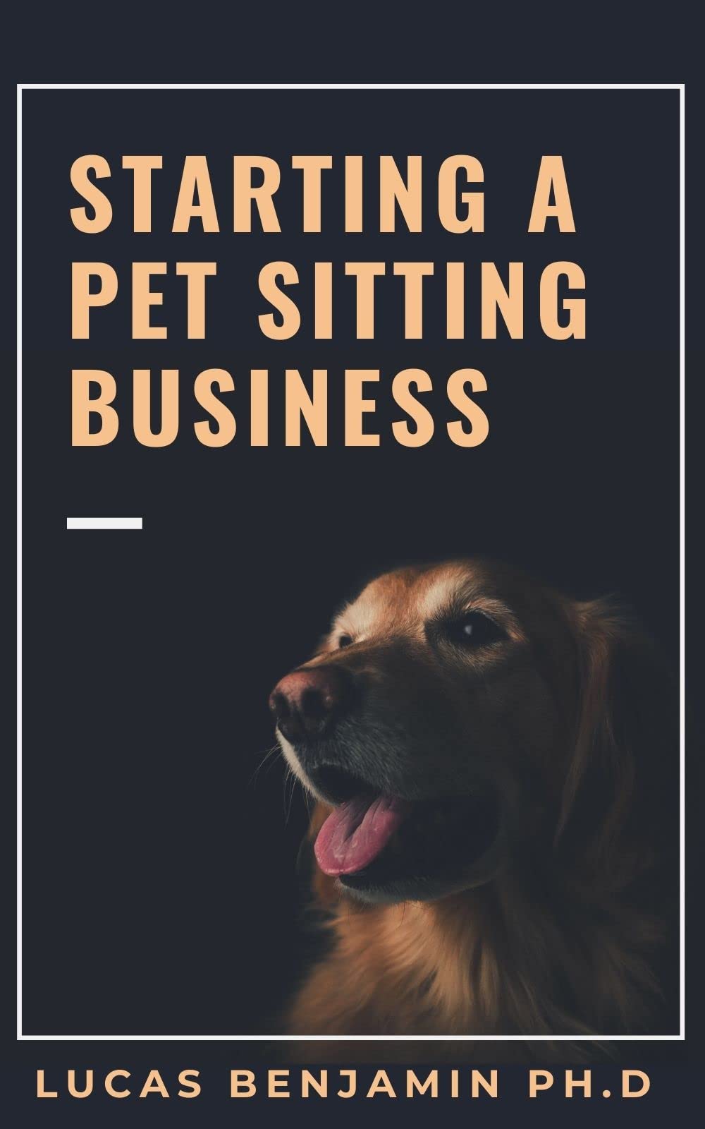 Starting A Pet Sitting Business Catapult Your Pet Sitting Business To
