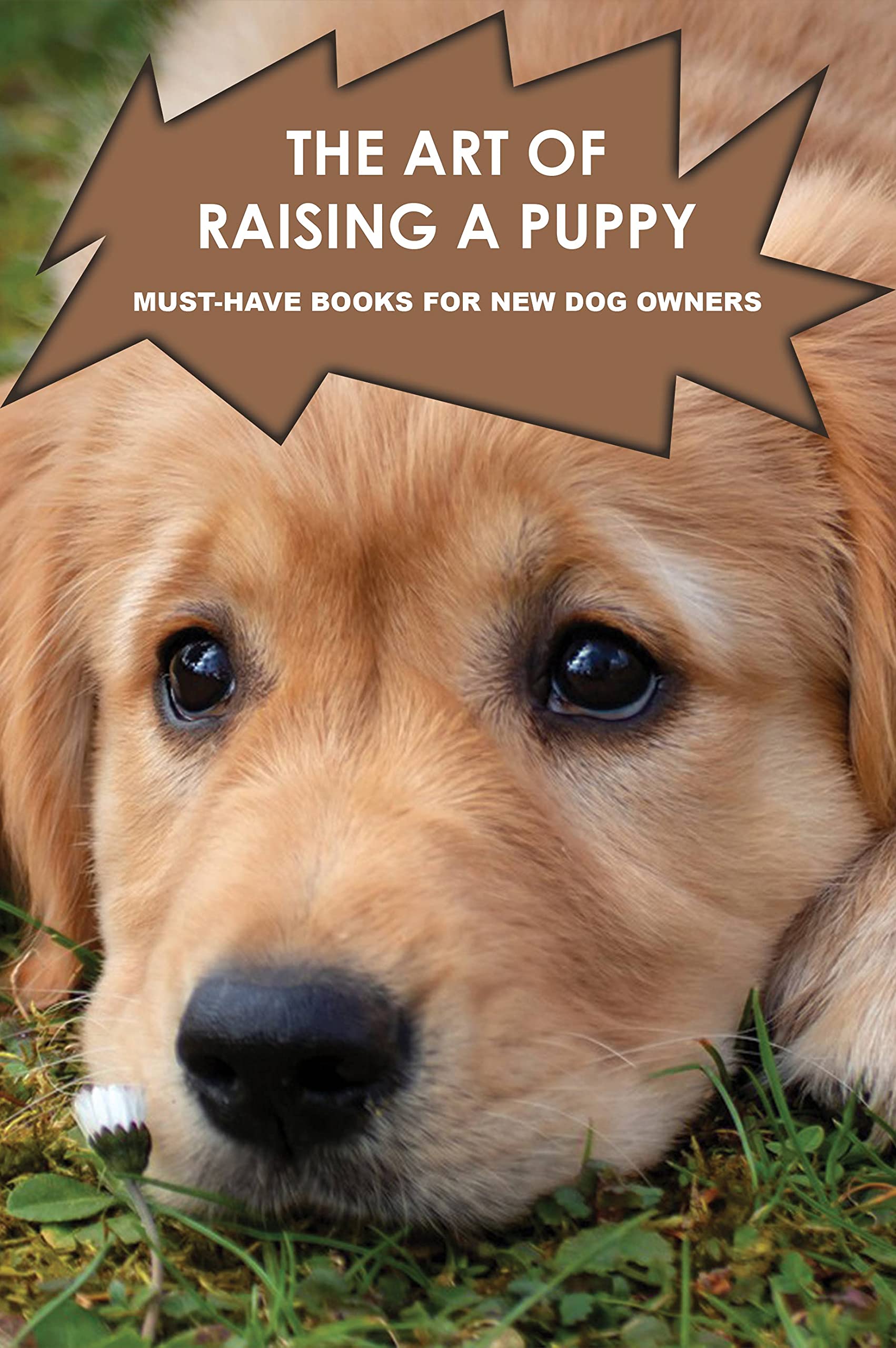 The Art Of Raising A Puppy MustHave Books For New Dog Owners What To