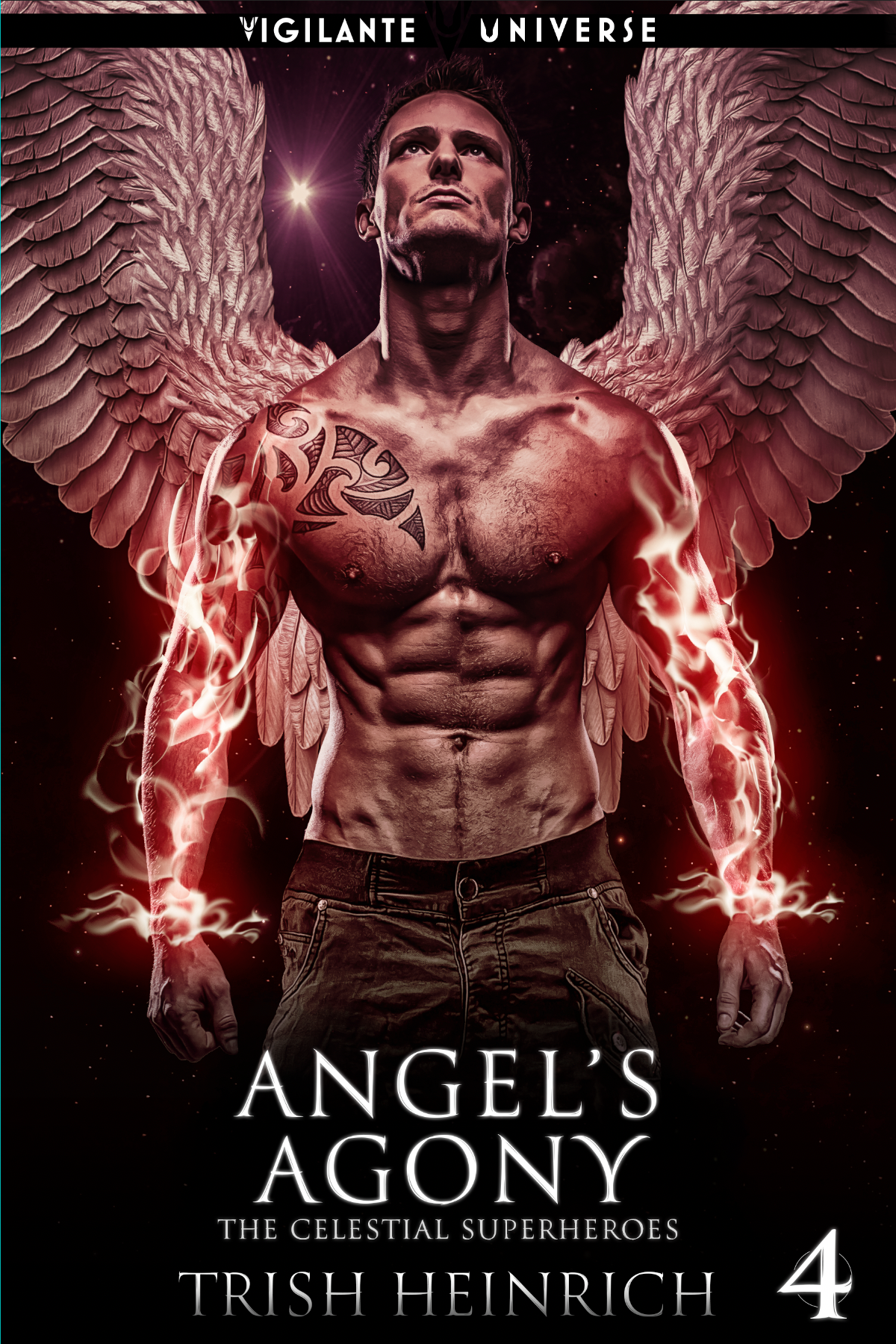 Angel's Agony book cover