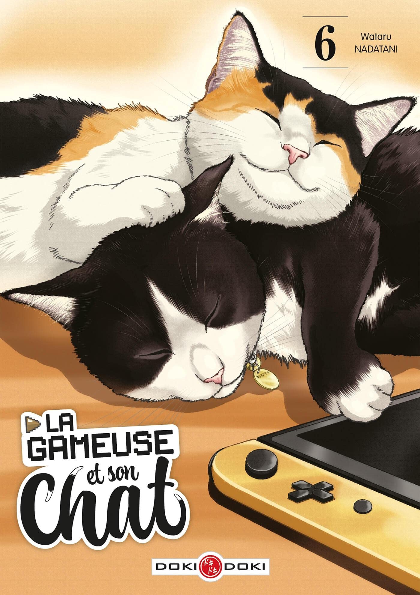 La gameuse et son chat, tome 6