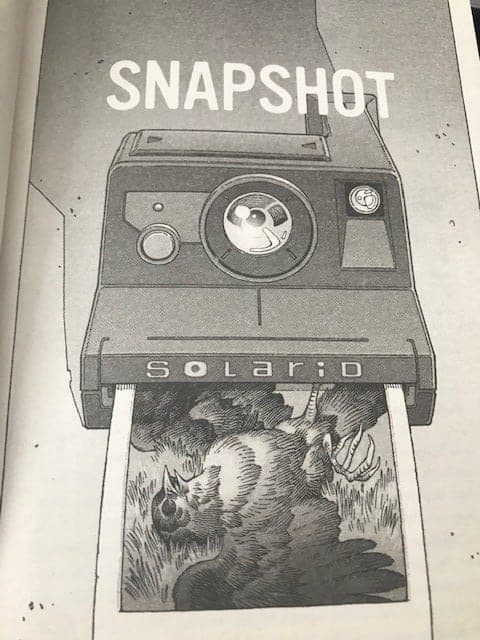 Snapshot book cover
