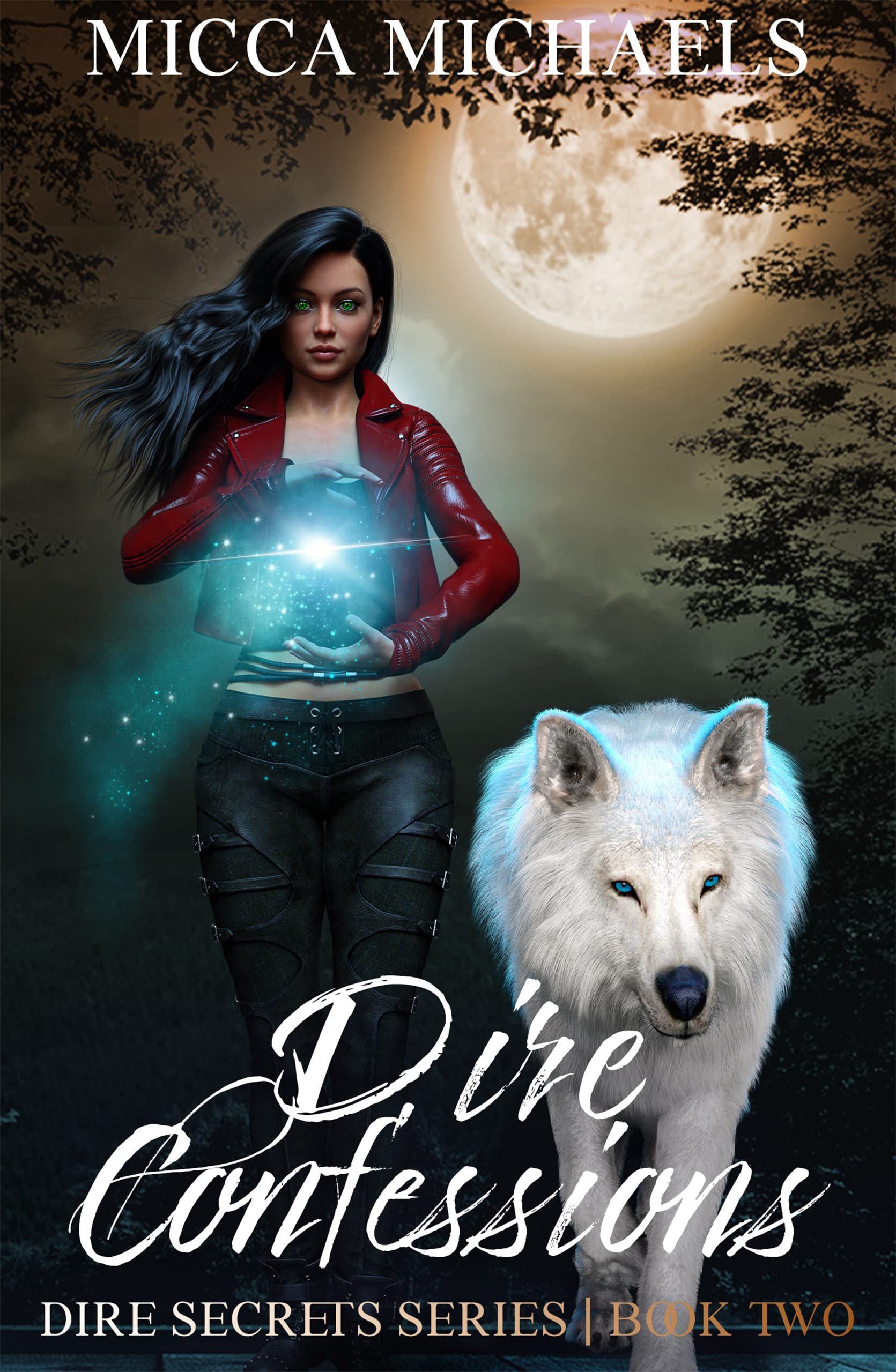 Dire Secrets book cover 2