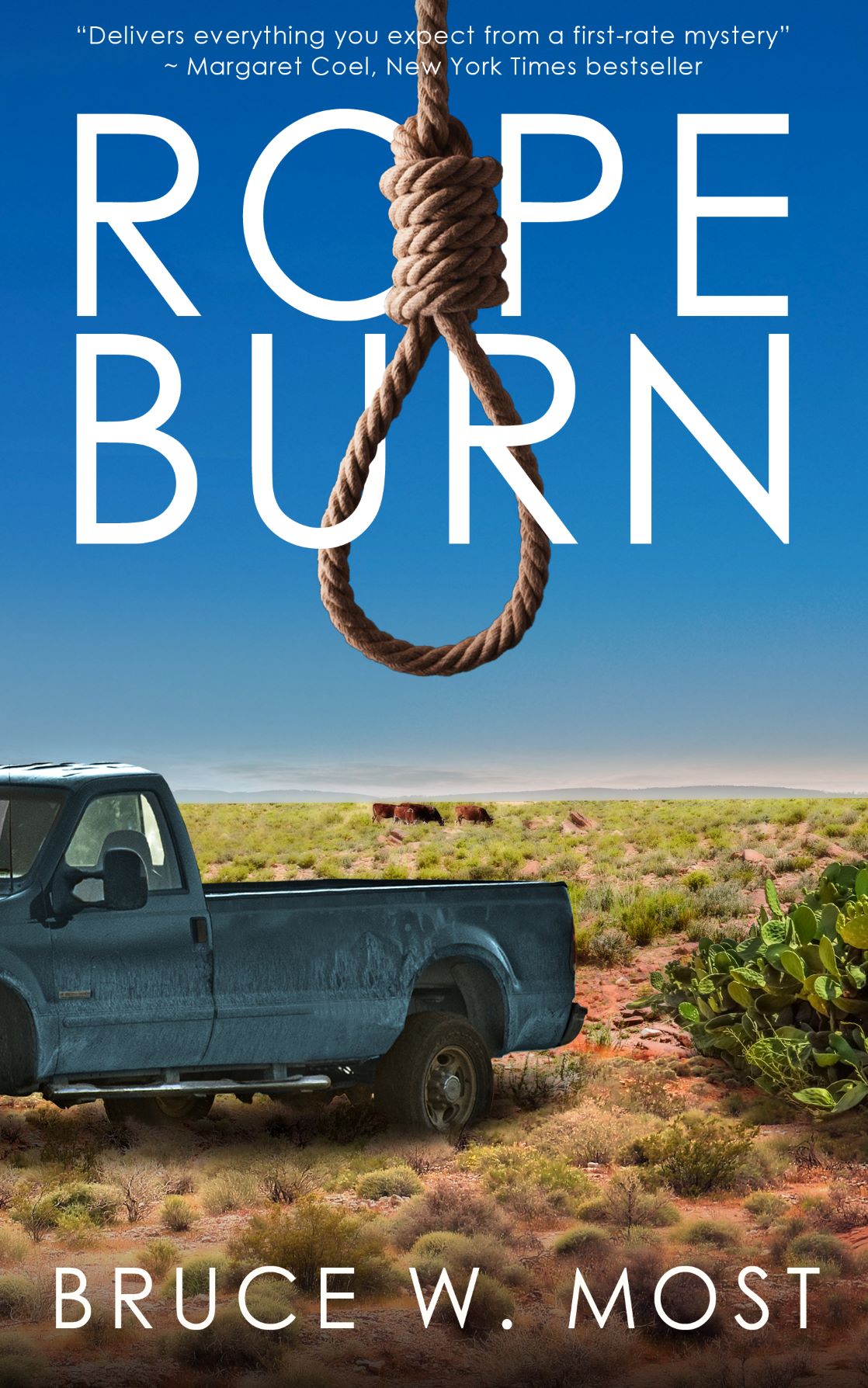 Rope Burn by Bruce W. Most Goodreads