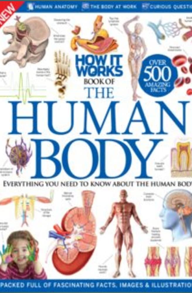 The Human Body The Full Human Body Encyclopedia by StudyHunt989 Publications Goodreads