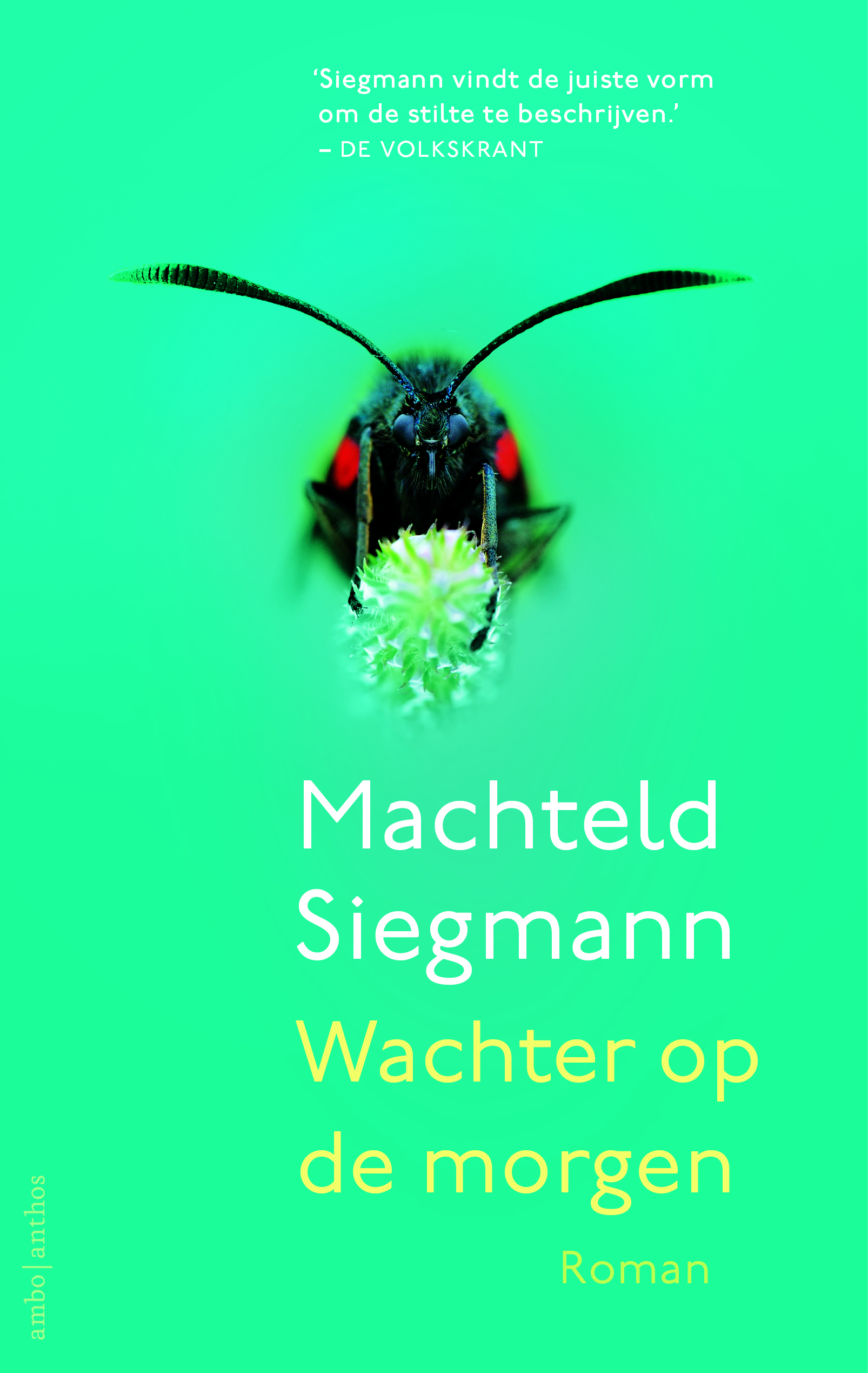 Wachter op de morgen