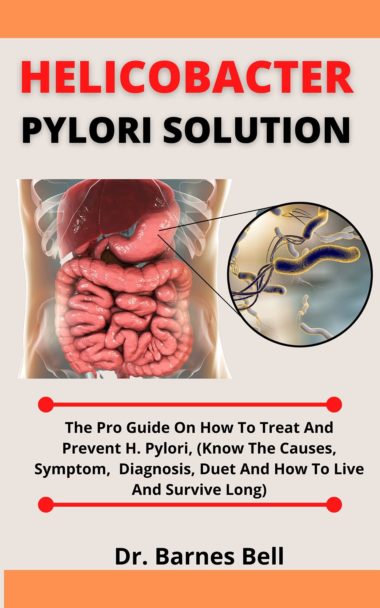 Helicobacter Pylori Solution The Pro Guide On How To Treat And Prevent