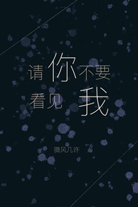 请你不要看见我 [Please, Don’t See Me]