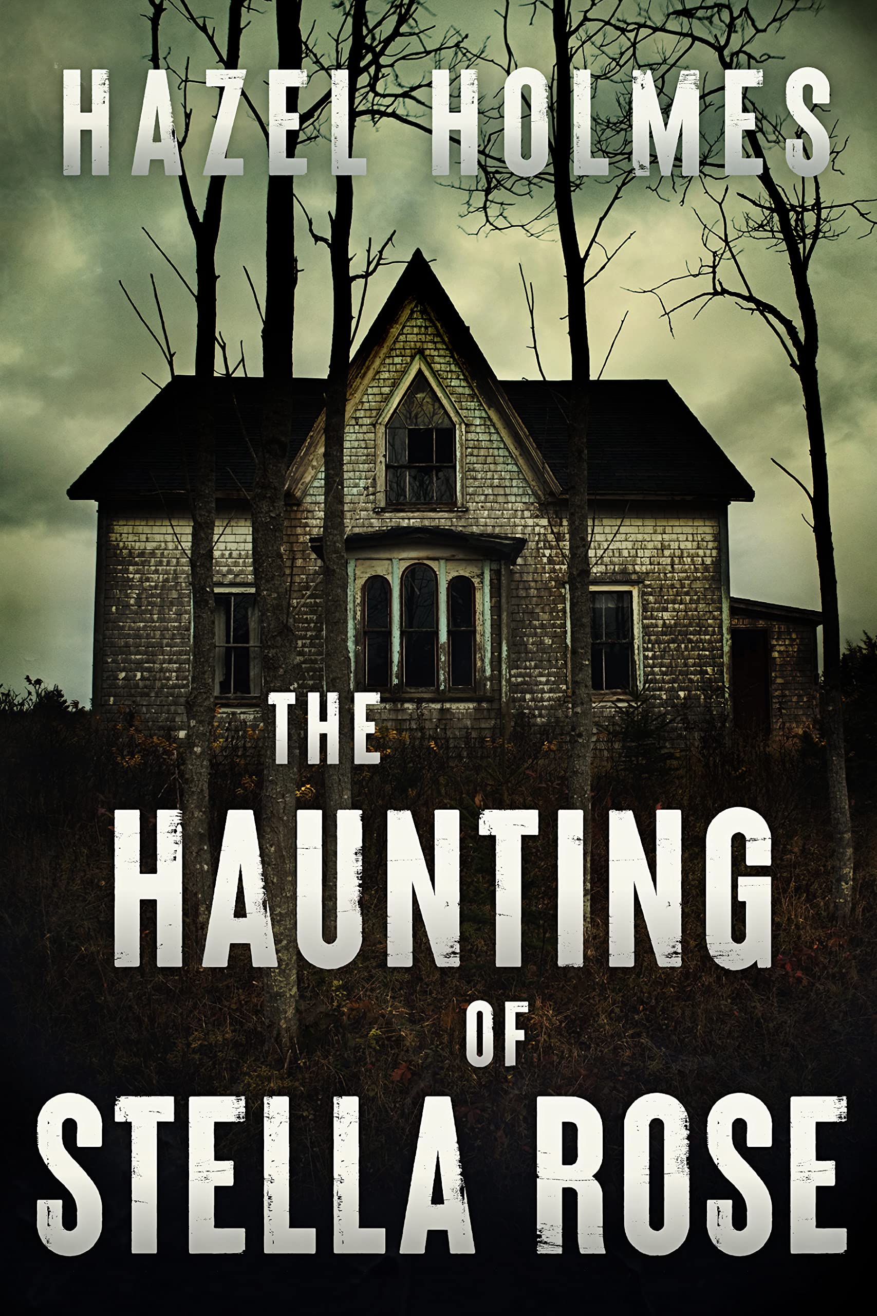 The Haunting of Stella Rose book cover