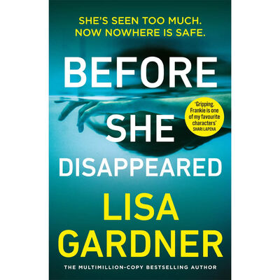 Before She Disappeared (Frankie Elkin, #1)