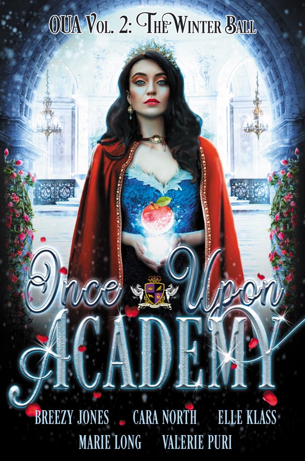 Once Upon Academy Winter Ball book cover