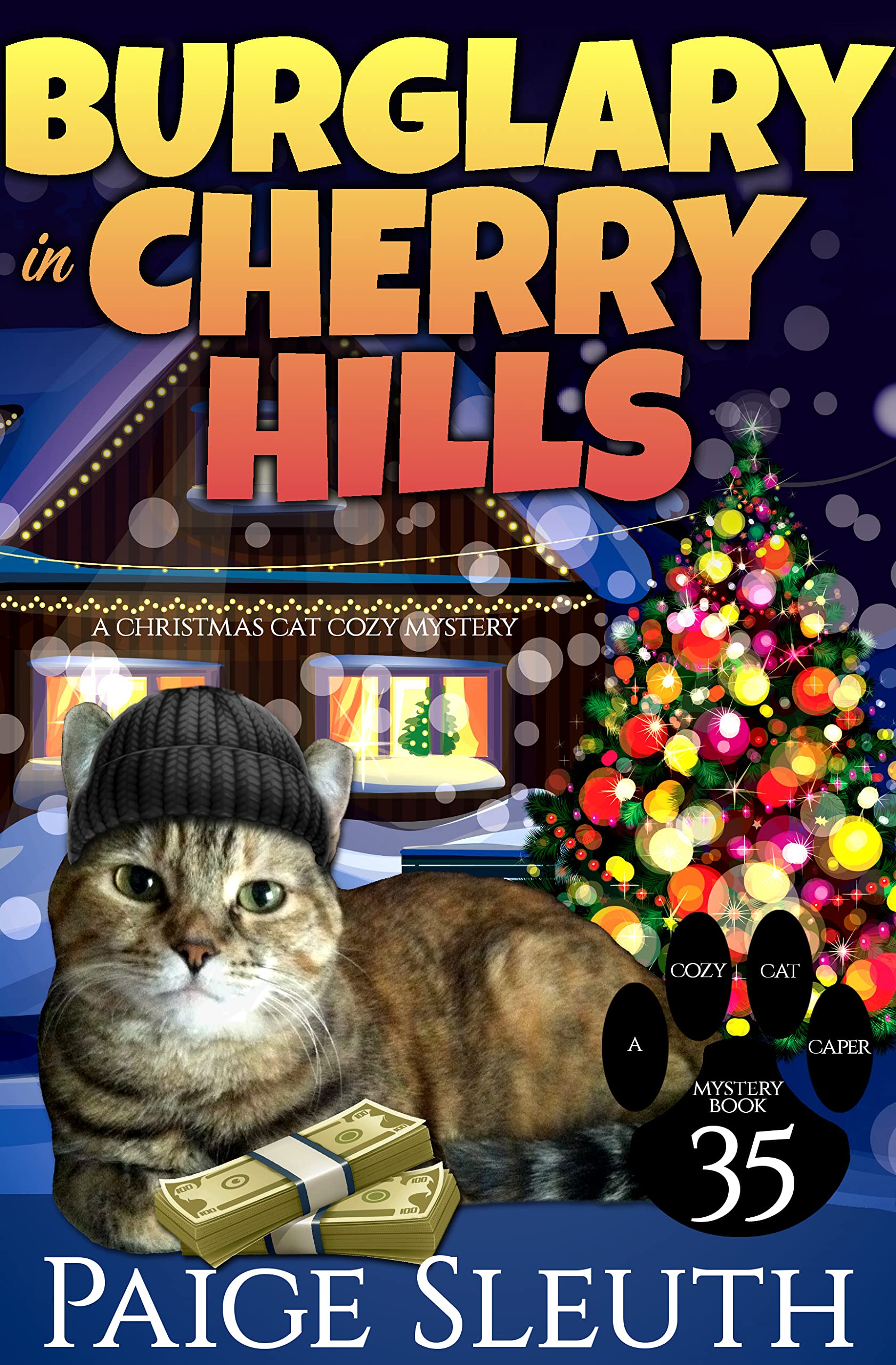 Burglary in Cherry Hills book cover