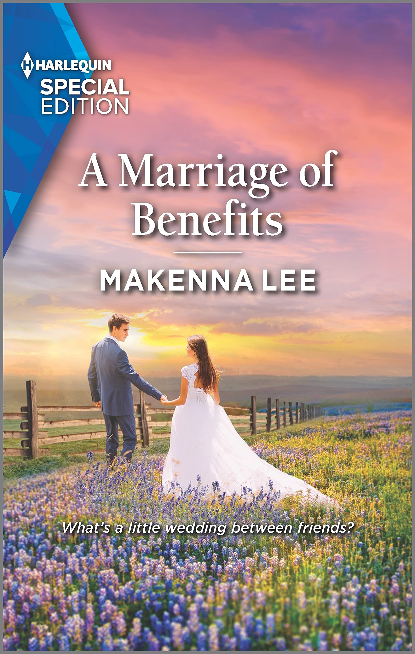 A Marriage of Benefits book cover