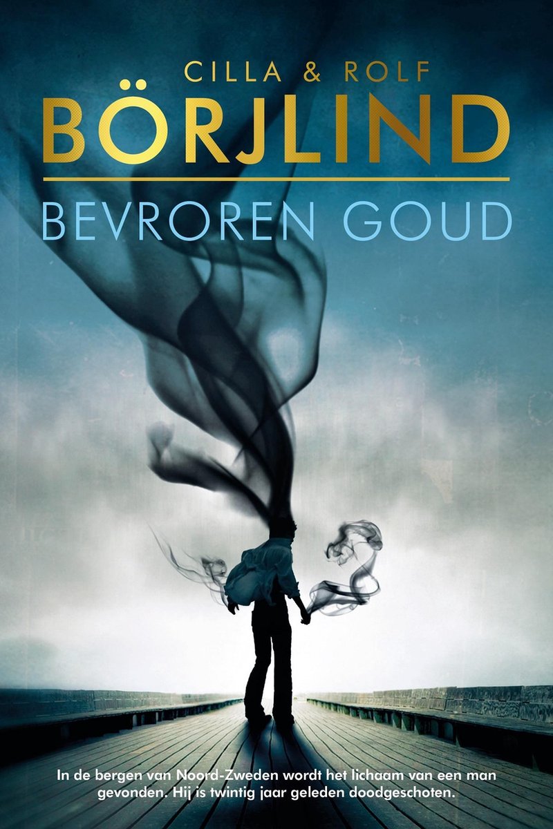 Bevroren goud book cover
