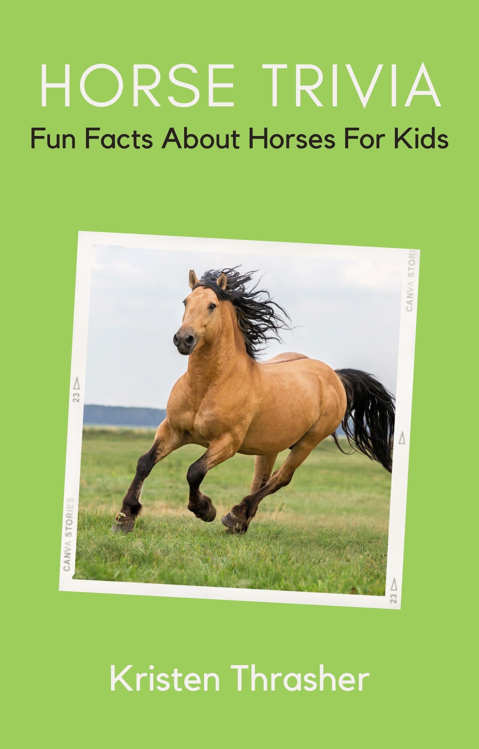 Horse Trivia Fun Facts About Horses For Kids by Kristen Thrasher