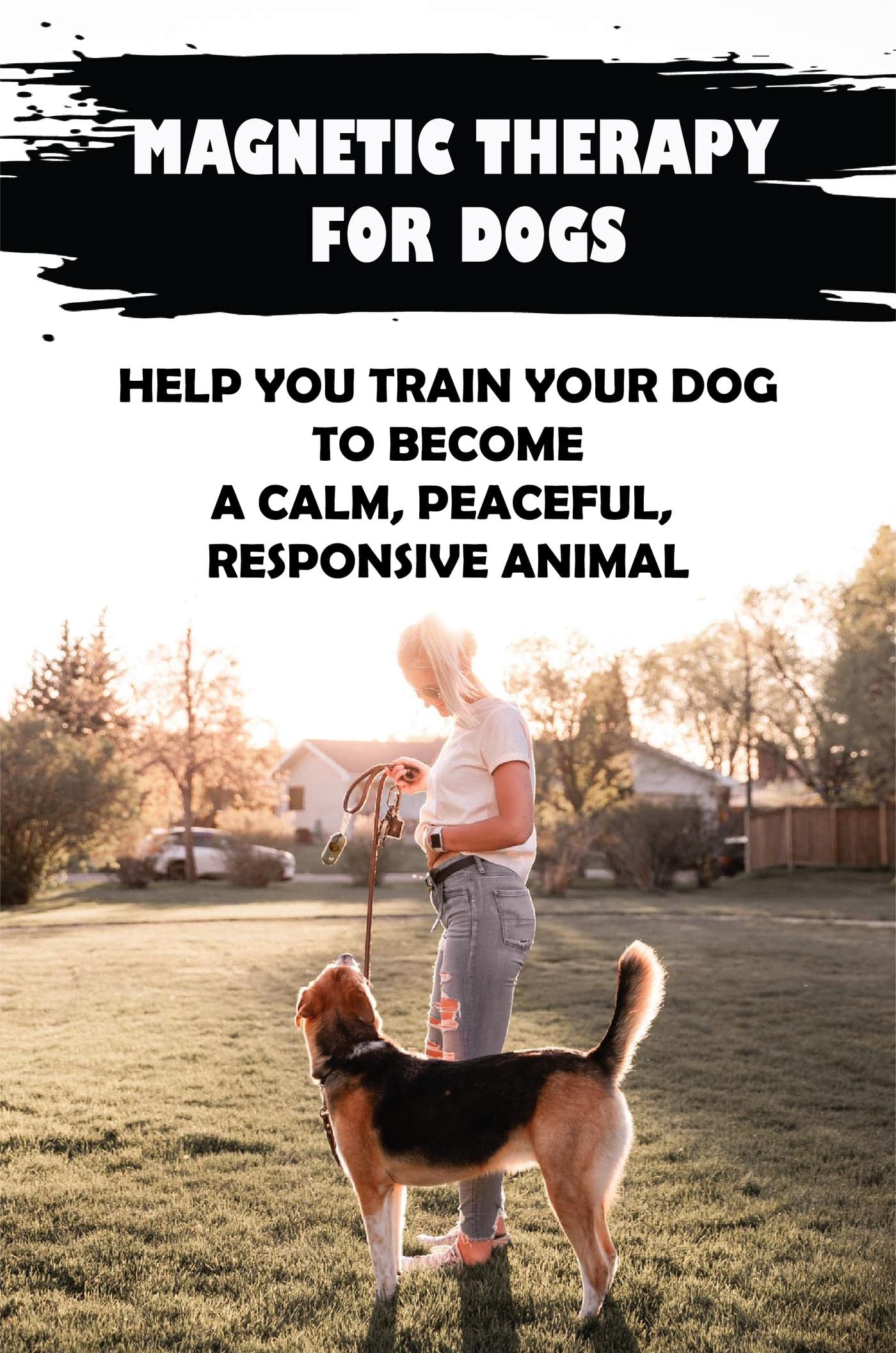 Therapy For Dogs Help You Train Your Dog To A Calm