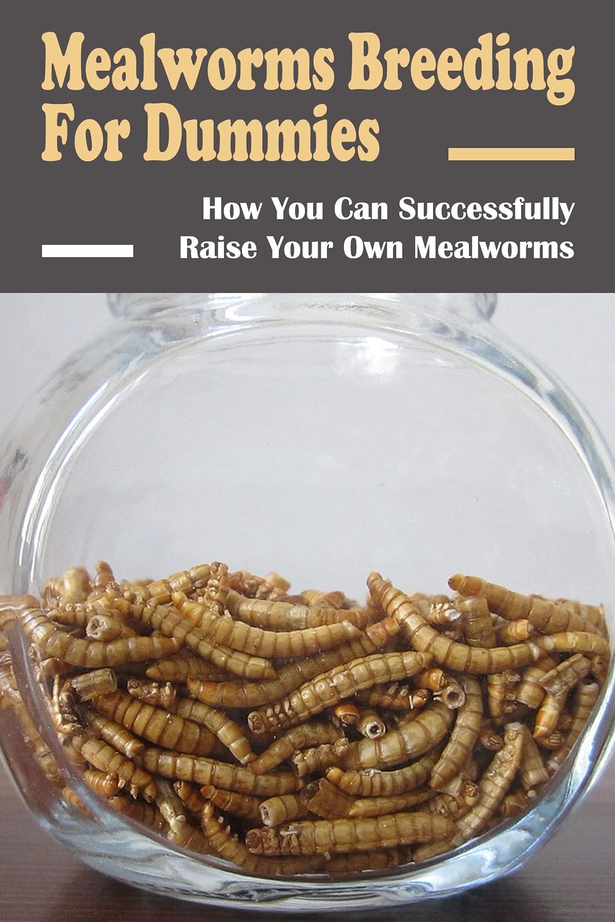 Mealworms Breeding For Dummies How You Can Successfully Raise Your Own Mealworms How Do You