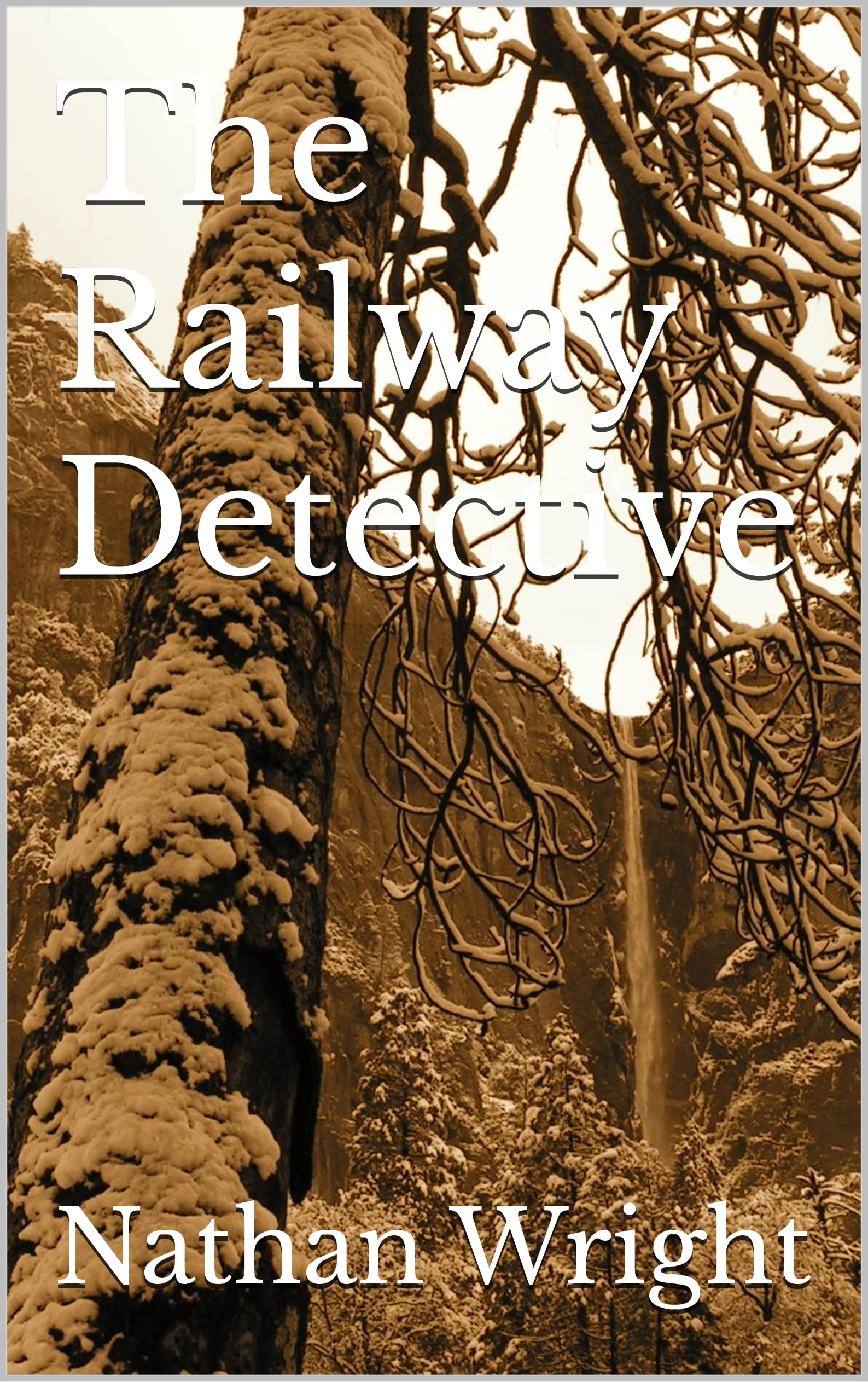 The Railway Detective by Nathan Wright Goodreads