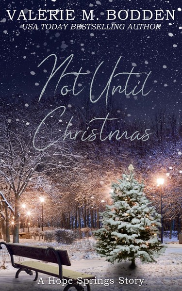 Not until Christmas book cover