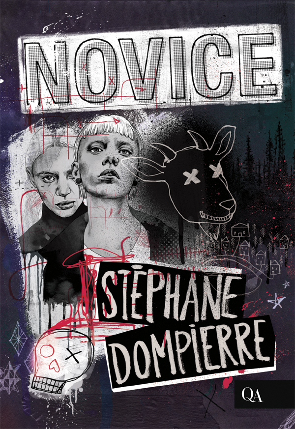 Novice book cover