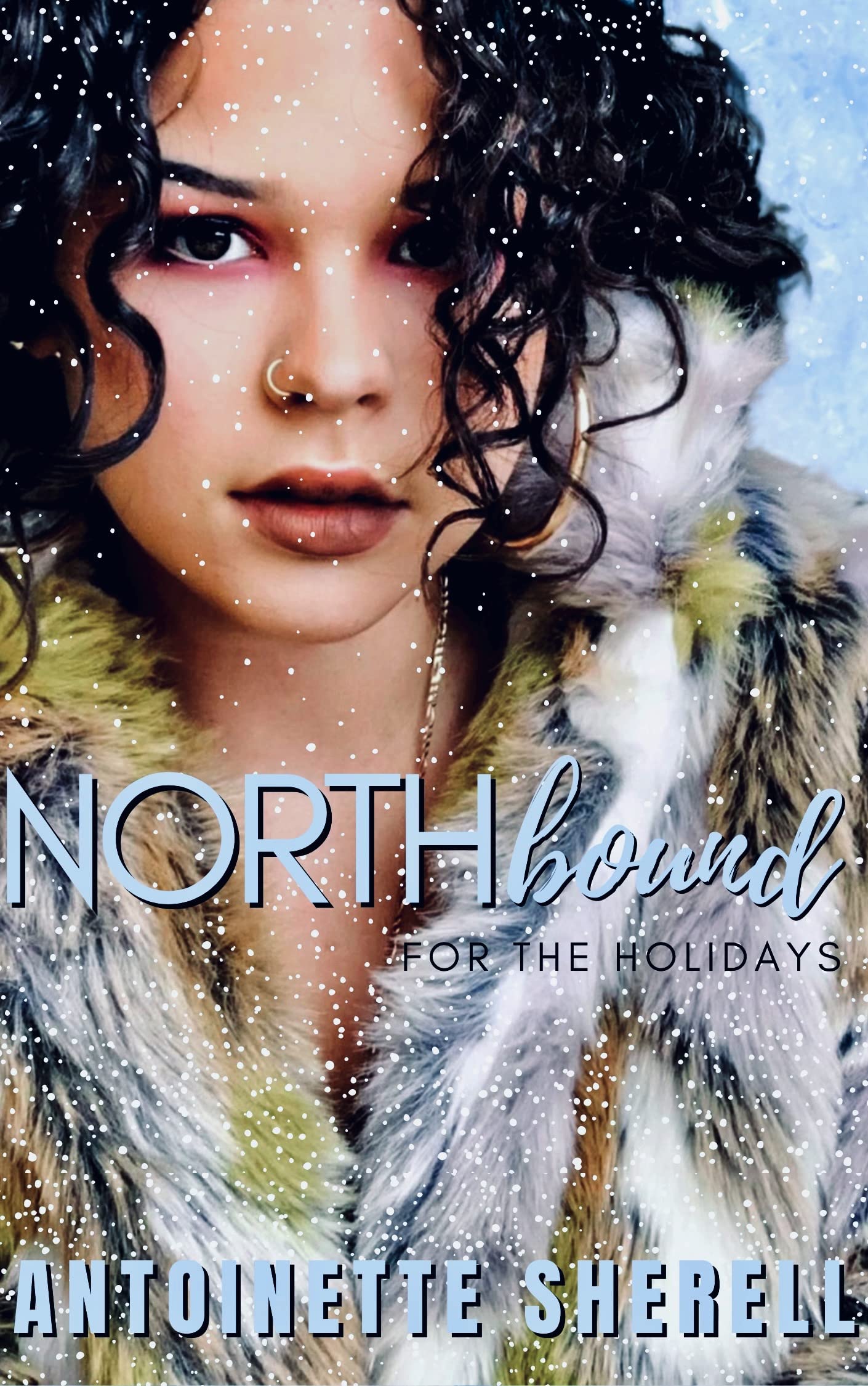 Northbound For The Holidays book cover