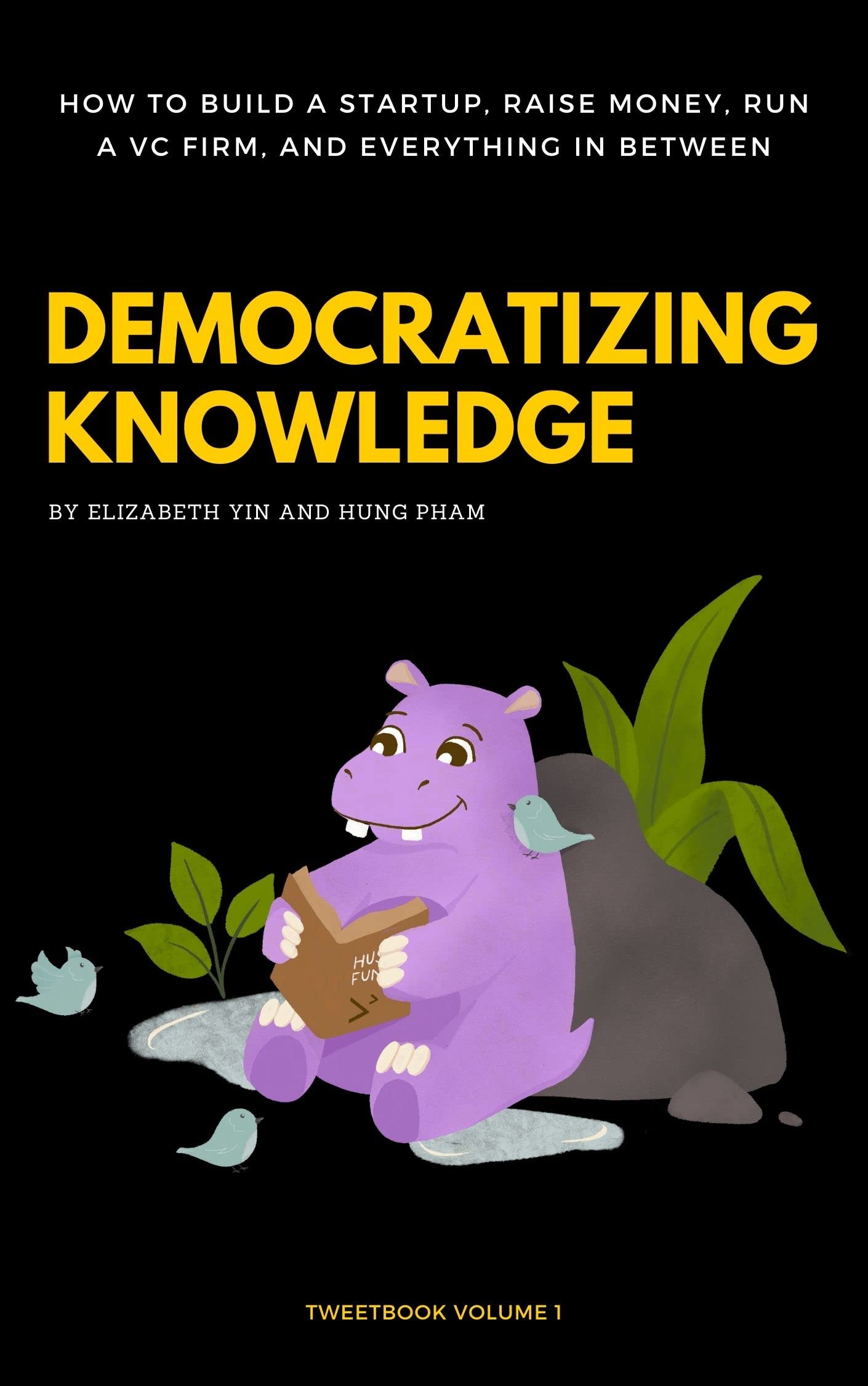 Democratizing Voting: Jane H.'S Impact - zddhlrt