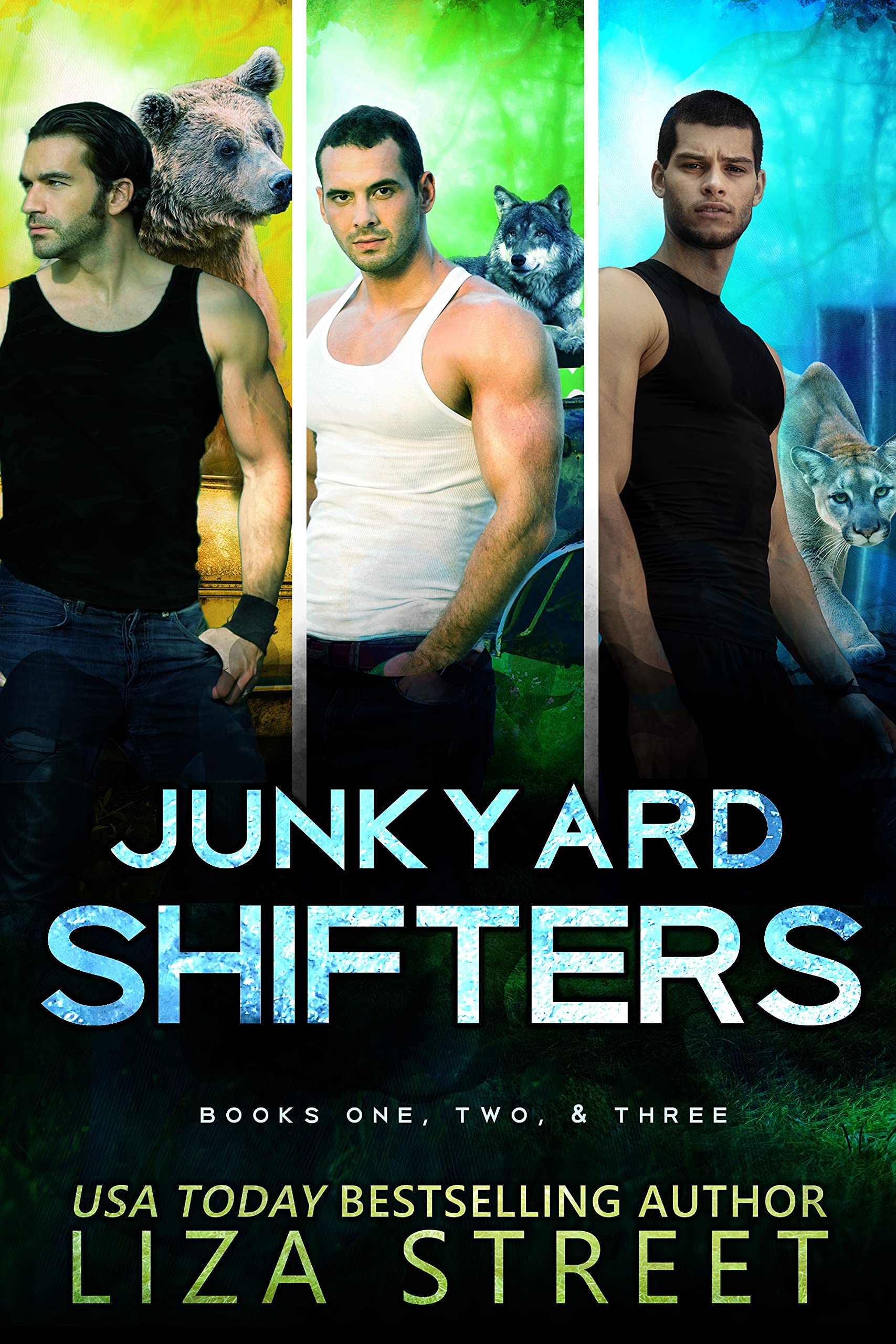 Junkyard Shifters Books One, Two, and Three by Liza Street Goodreads