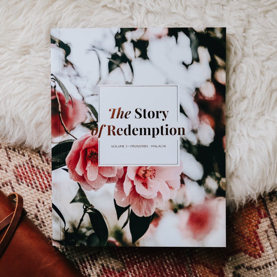 The Story of Redemption: Volume 3