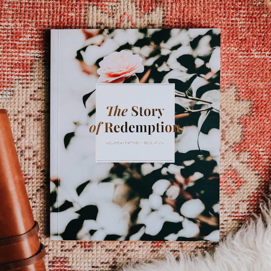 The Story of Redemption: Volume 4
