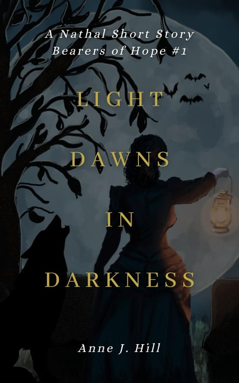 Light Dawns in Darkness book cover