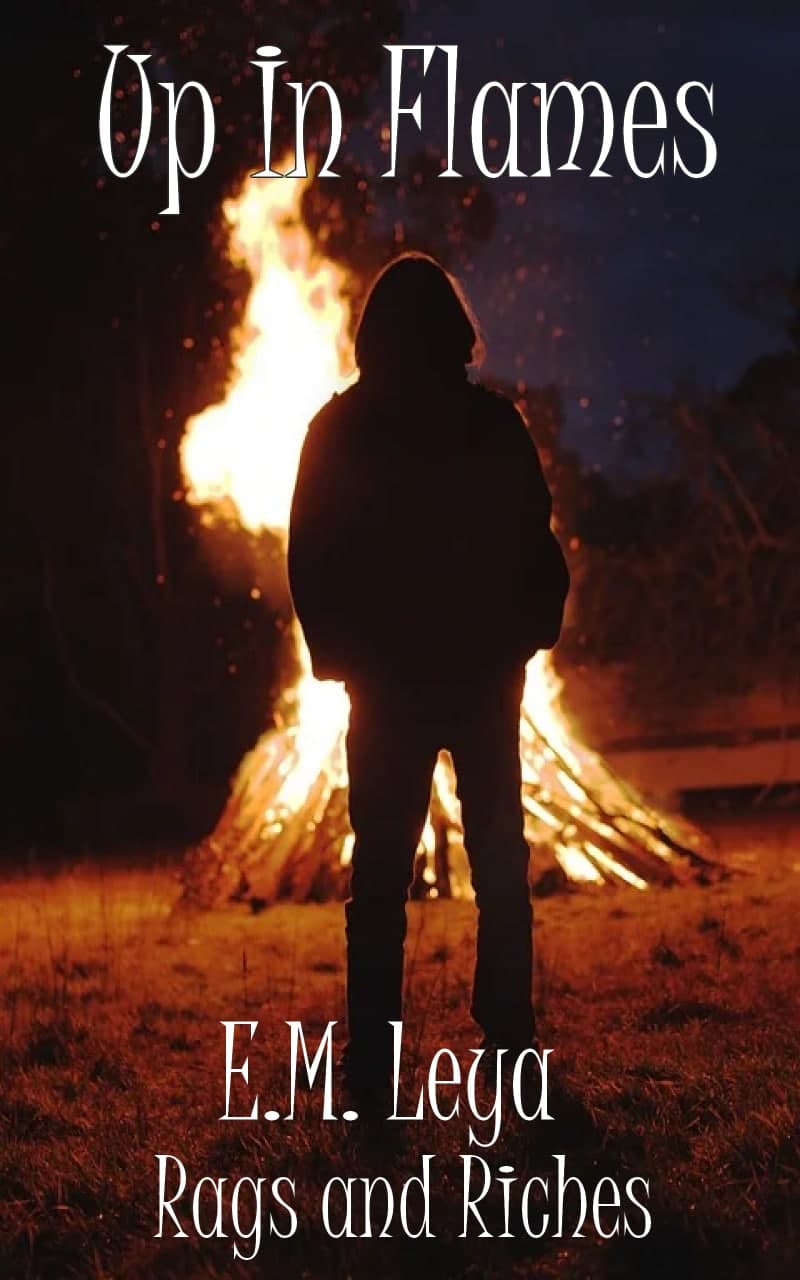 Up in Flames book cover