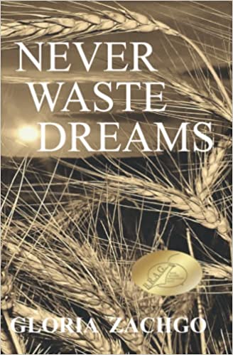 Never Waste Dreams