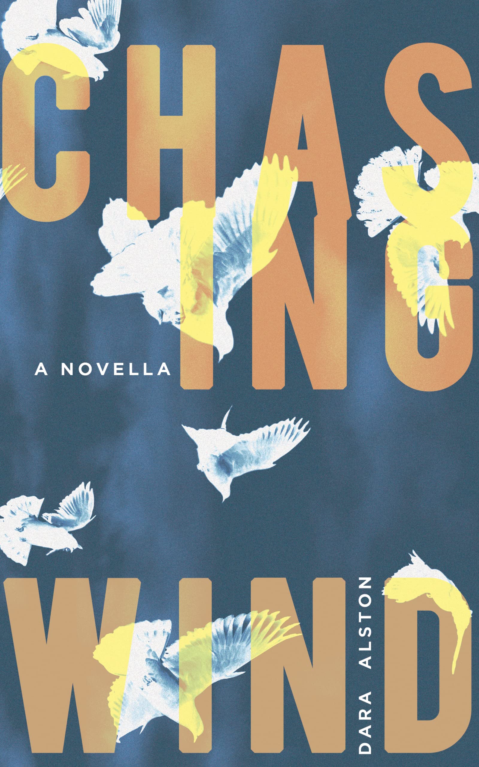 Chasing Wind by Dara Alston Goodreads