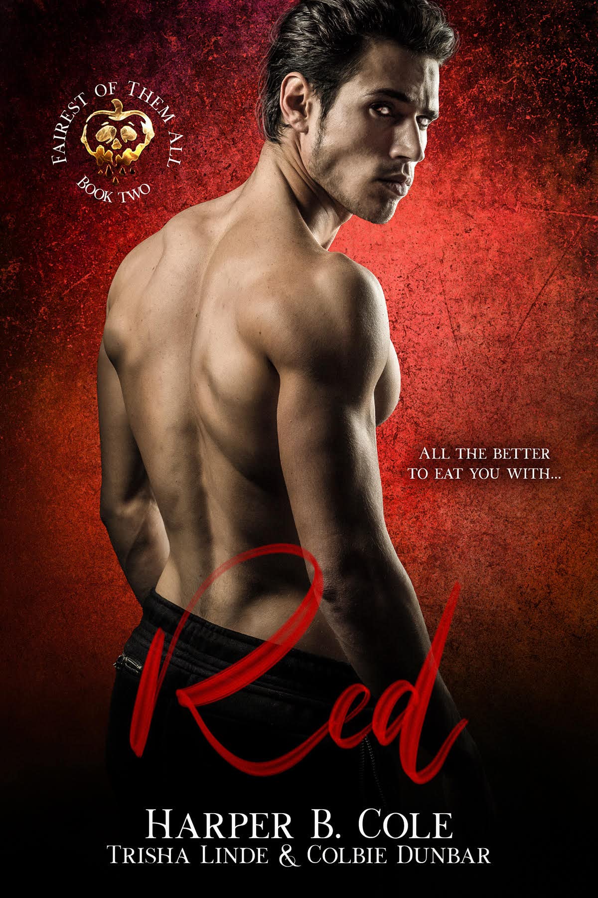 Red book cover