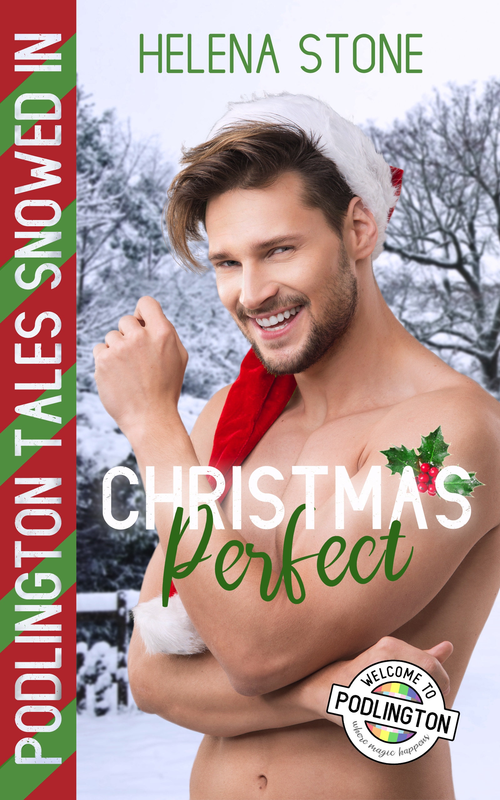 Christmas Perfect book cover