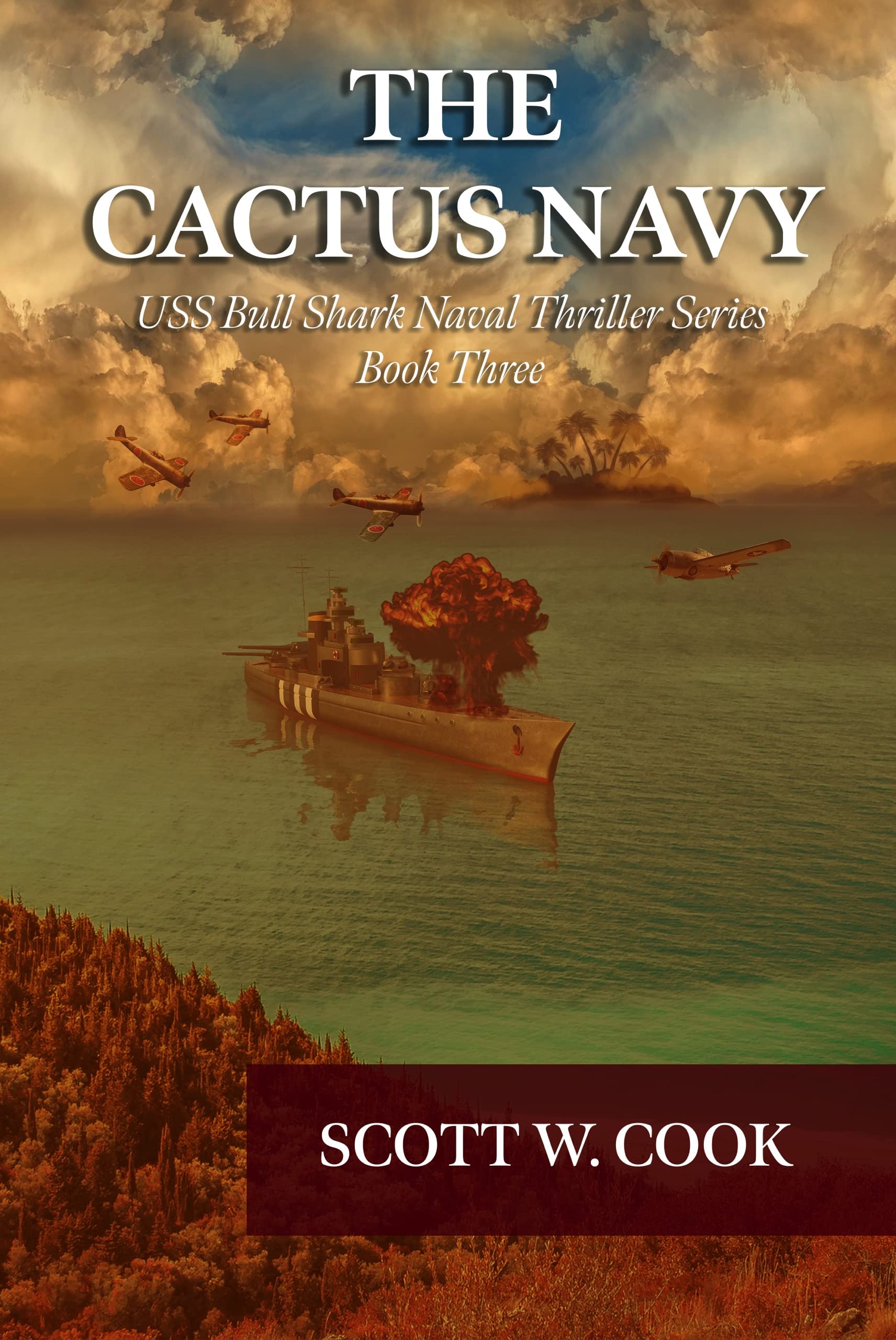The Cactus Navy