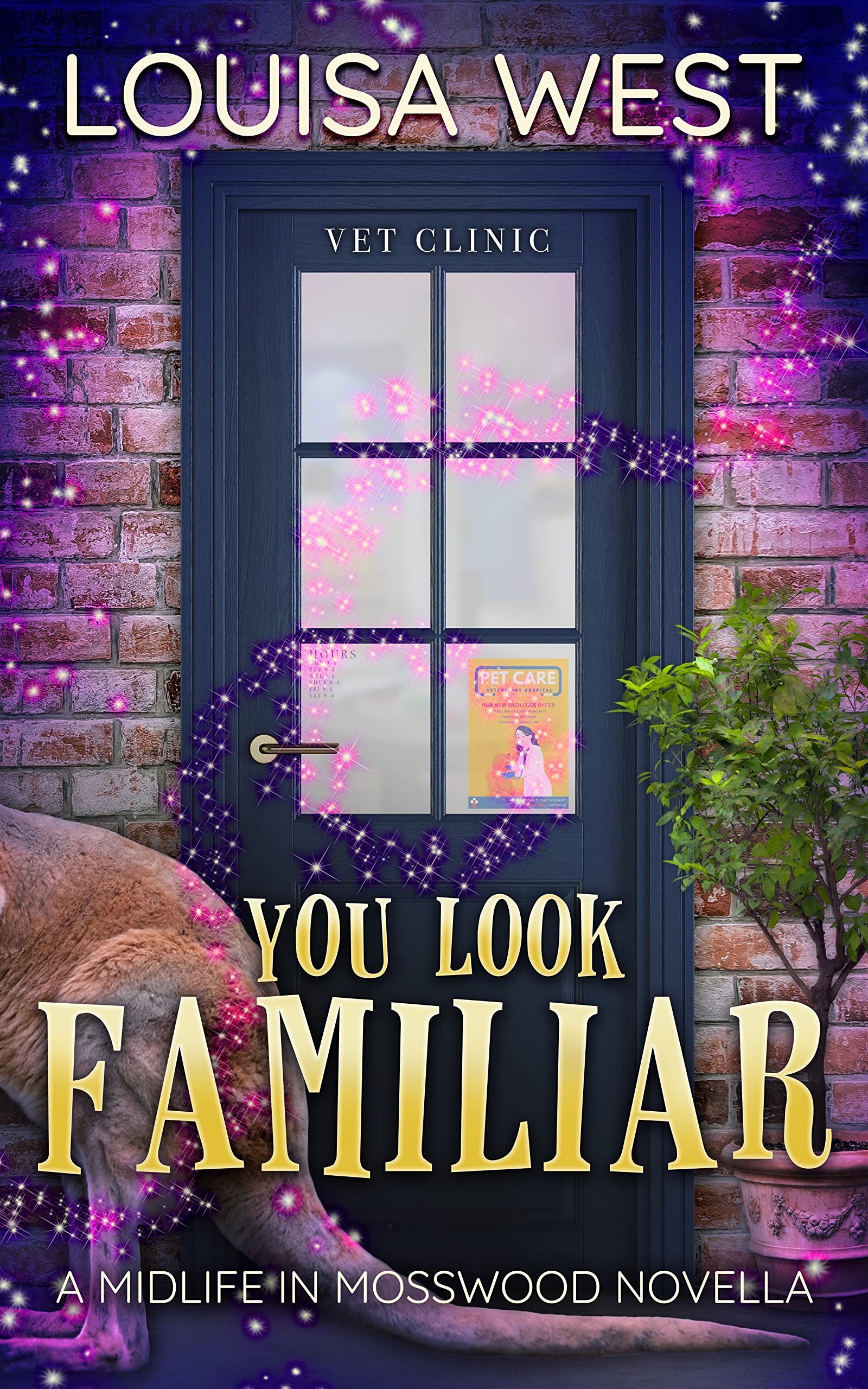 You Look Familiar book cover