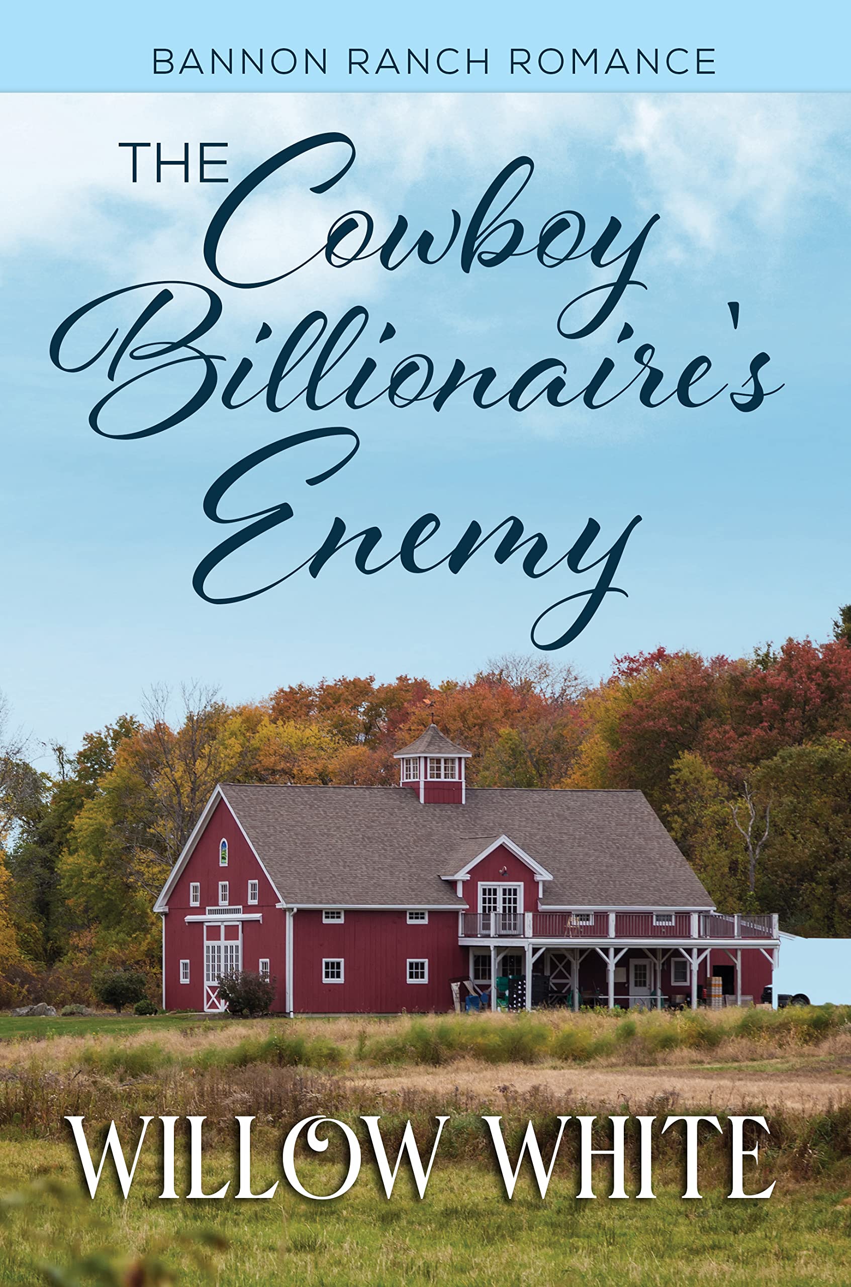 The Cowboy Billionaire's Enemy