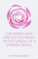 The Prince Who Pricked His Finger on the Spindle of a Spinning Wheel