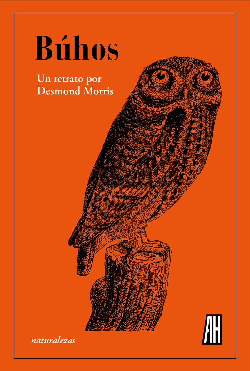 Búhos book cover