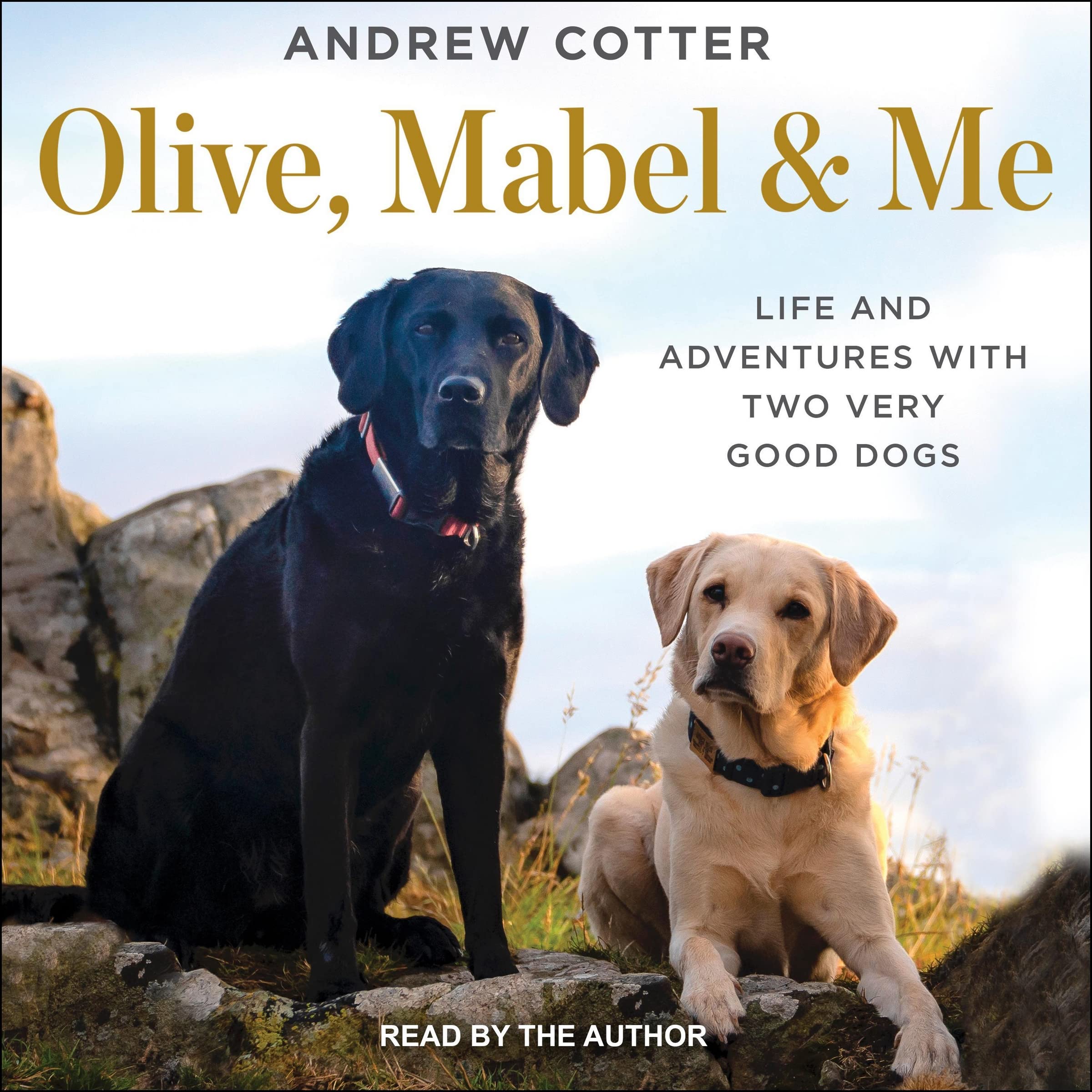 Olive, Mabel & Me Life and Adventures with Two Very Good Dogs by Andrew Cotter Goodreads