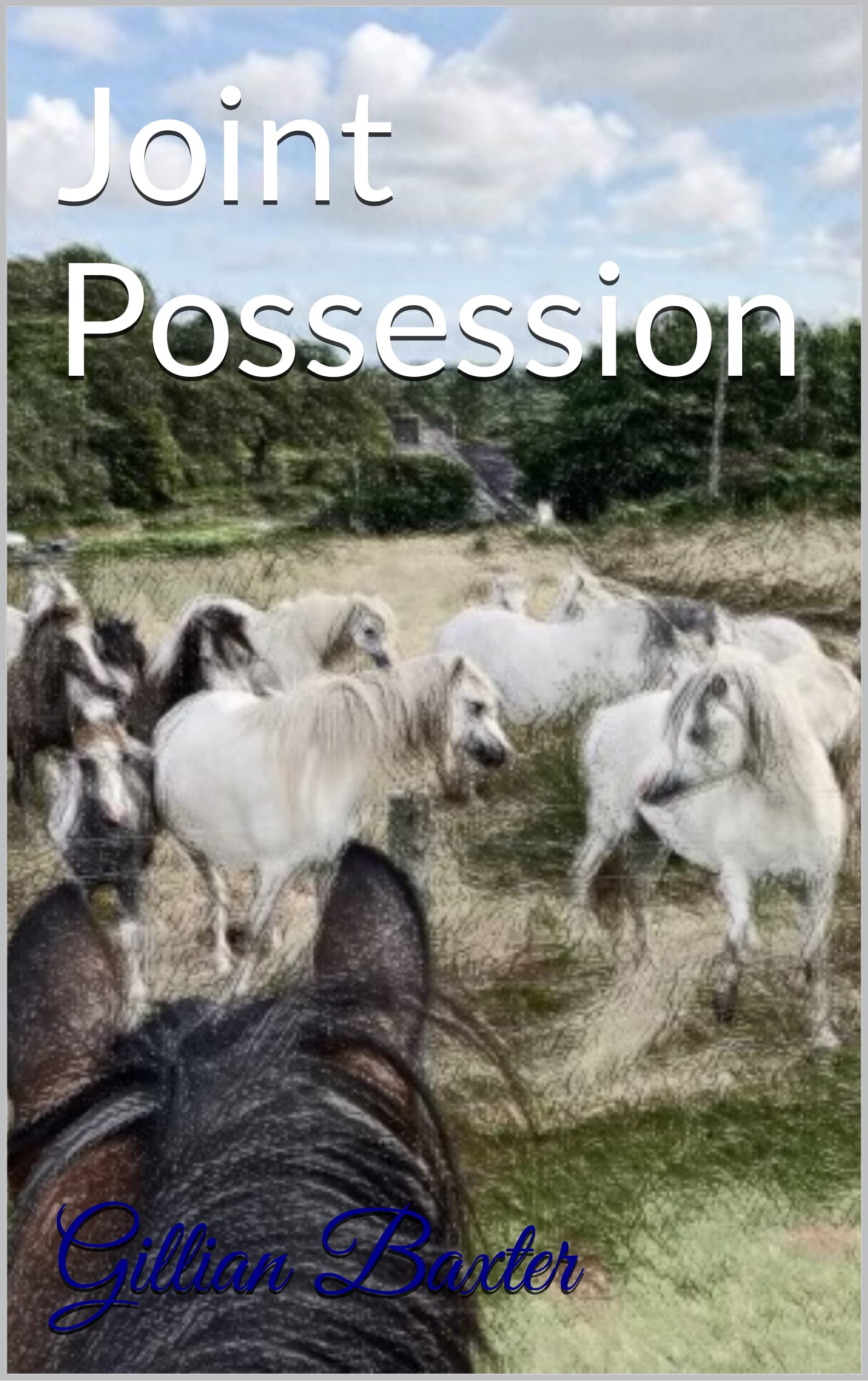 Joint Possession
