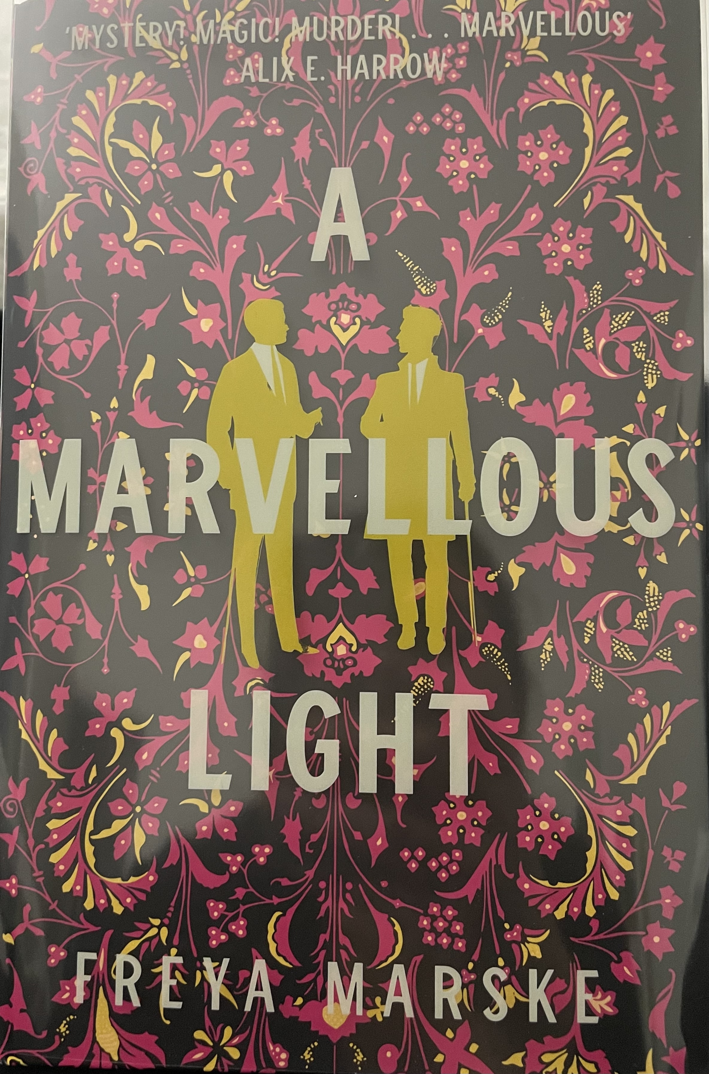 A Marvellous Light (The Last Binding, #1)